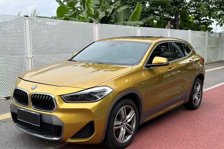 BMW X2 2020 car image #2