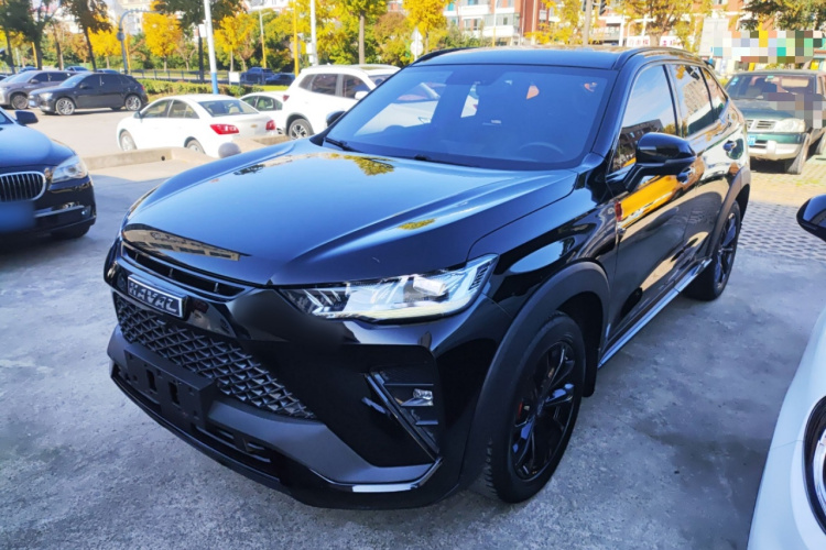 Haval H6S 2022 car image #2