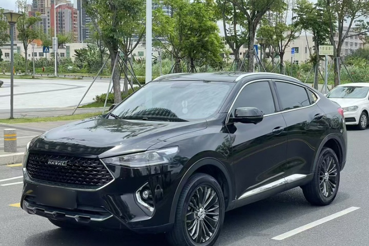 Haval F7x 2020 car image #2