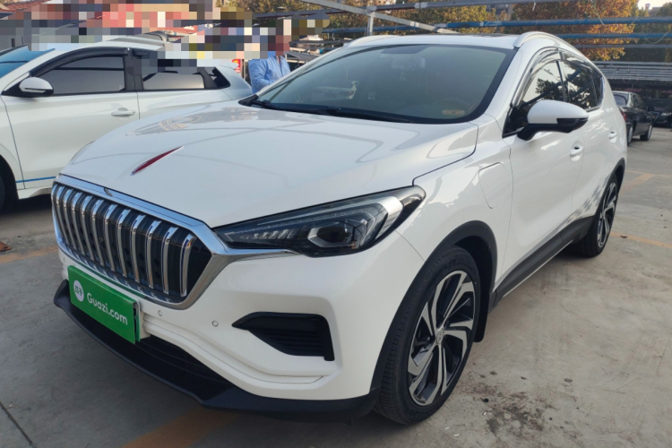 HongQi E-HS3 2020 car image #2
