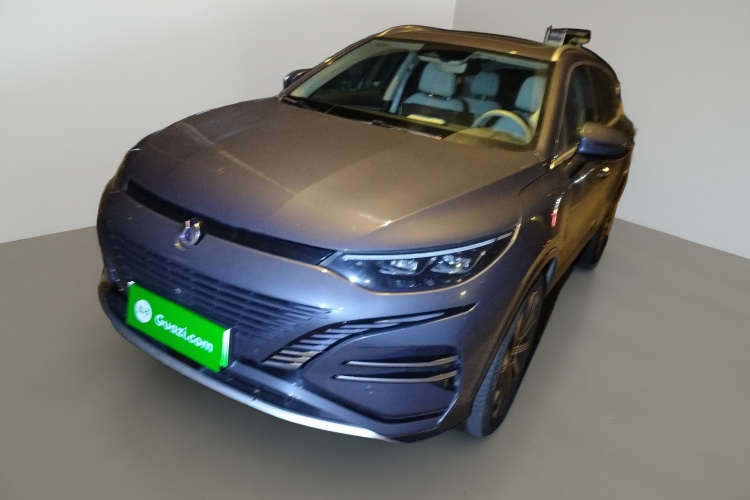 Denza N8 2023 #2 Denza N8 2023 car image #2