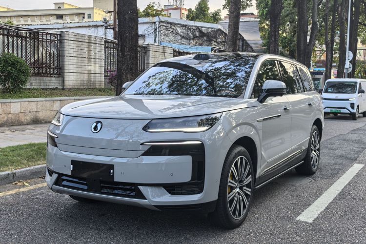 Denza N9 car image #2