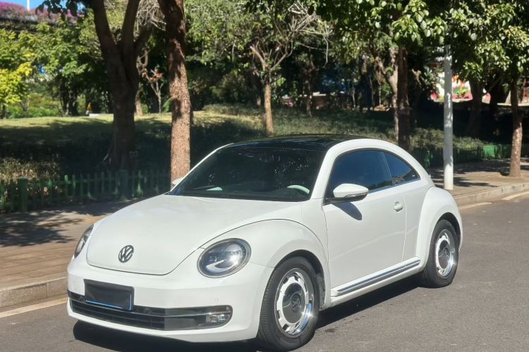 Volkswagen Beetle 2015 car image #2