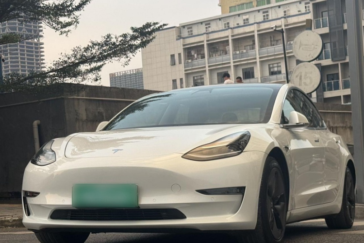 特斯拉 Model 3(进口) 2019 汽车图片 #2
