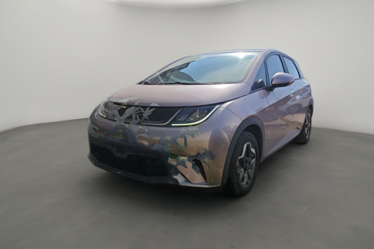 BYD Dolphin 2022 صورة سيارة #2