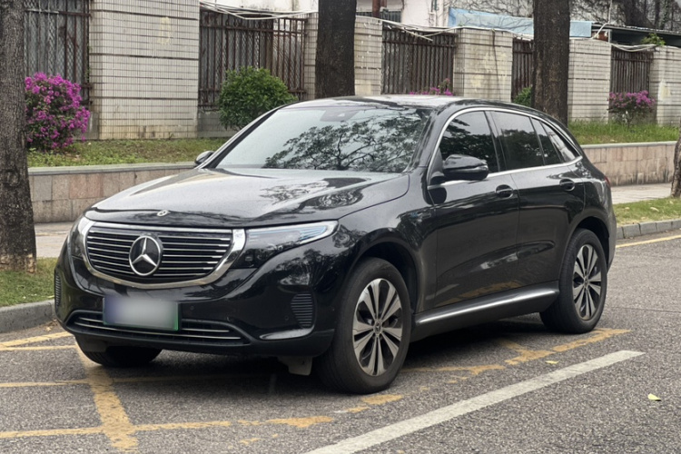 Mercedes-Benz EQC Class 2022 car image #2