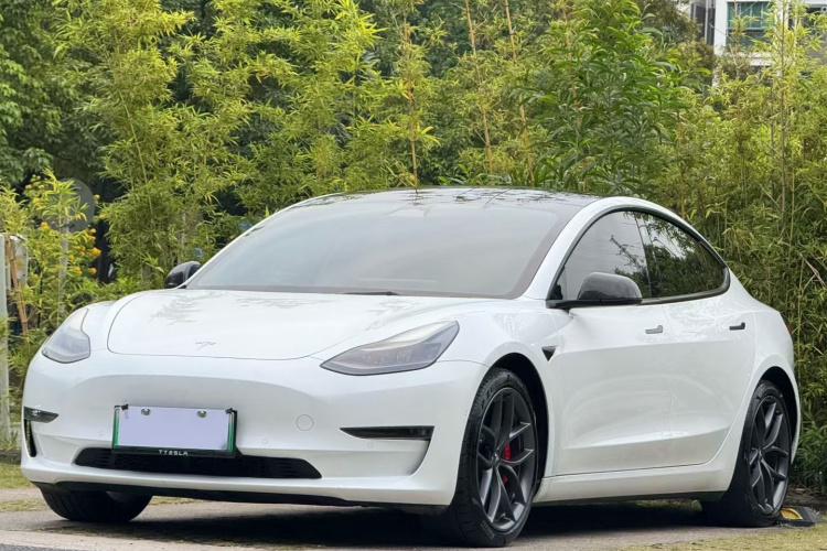 Tesla Model 3 2022 #2 Tesla Model 3 2022 car image #2