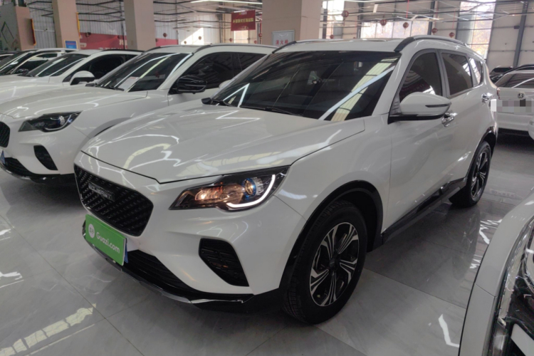 Soueast DX8 S 2023 car image #2