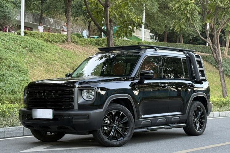 Haval Raptor New Energy 2024 car image #2