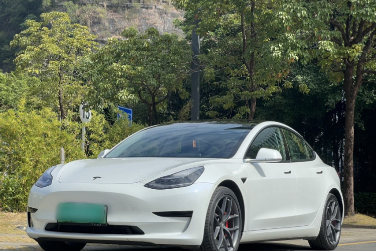 Tesla Model 3 2020 صورة سيارة #2
