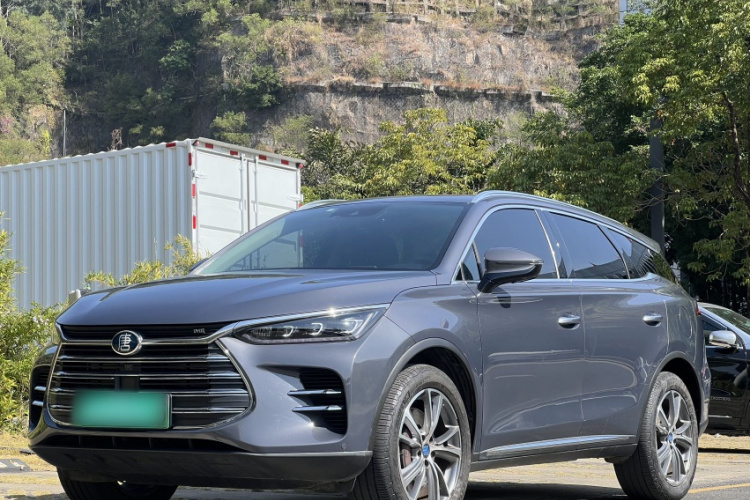 BYD Tang New Energy 2019 car image #2