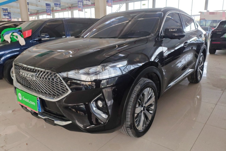 Haval F7x 2021 car image #2