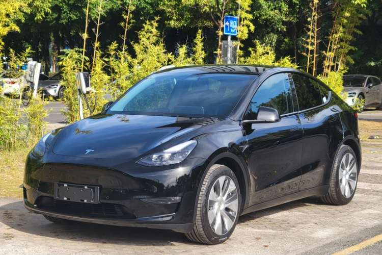 Tesla Model Y 2021 immagine di auto #2