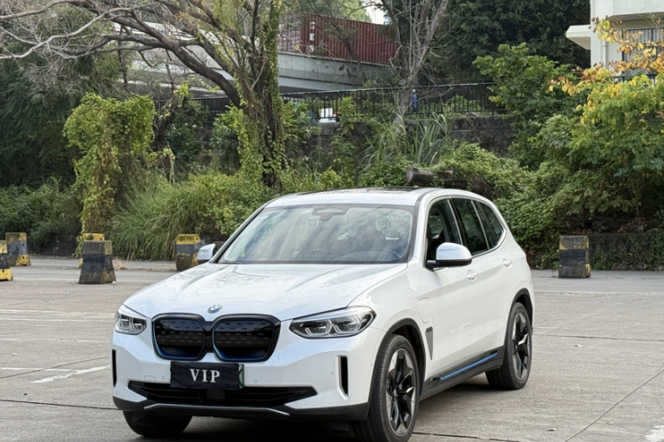 BMW iX3 2020 car image #2