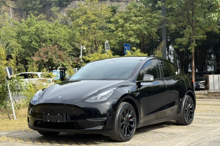 Tesla Model Y 2021 #2 Tesla Model Y 2021 car image #2
