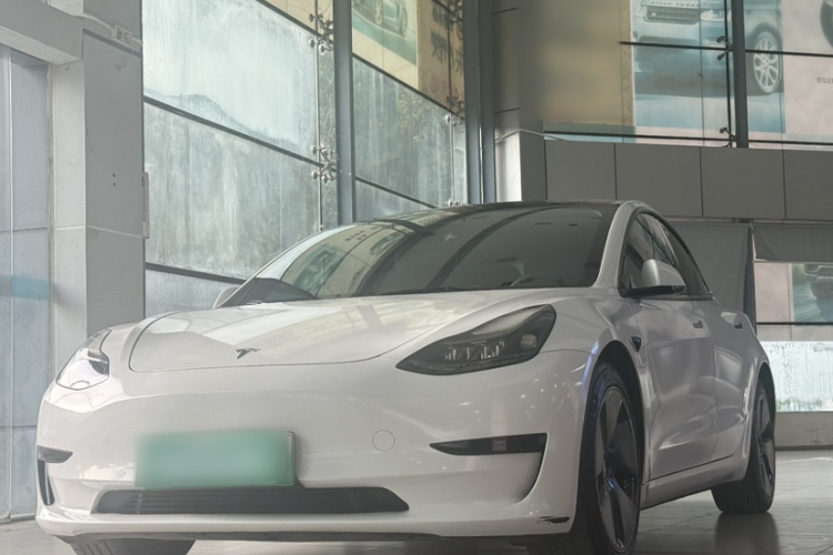 Tesla Model 3 2022 #2 Tesla Model 3 2022 صورة سيارة #2