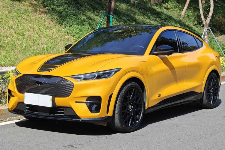 Ford Mustang Mach-E 2023 car image #2