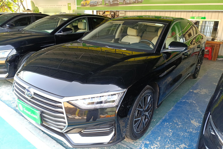 BYD e9 2021 car image #2