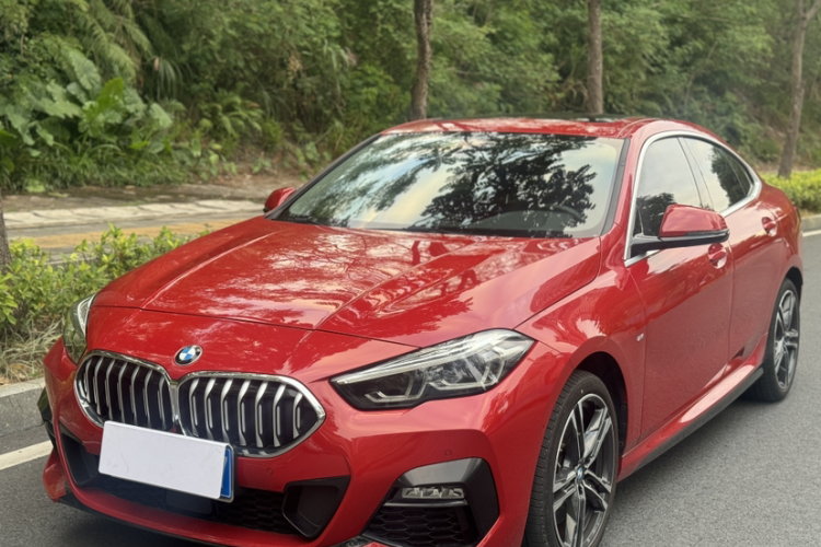 BMW 2 Series (Imported) 2021 #2 BMW 2 Series (Imported) 2021 car image #2