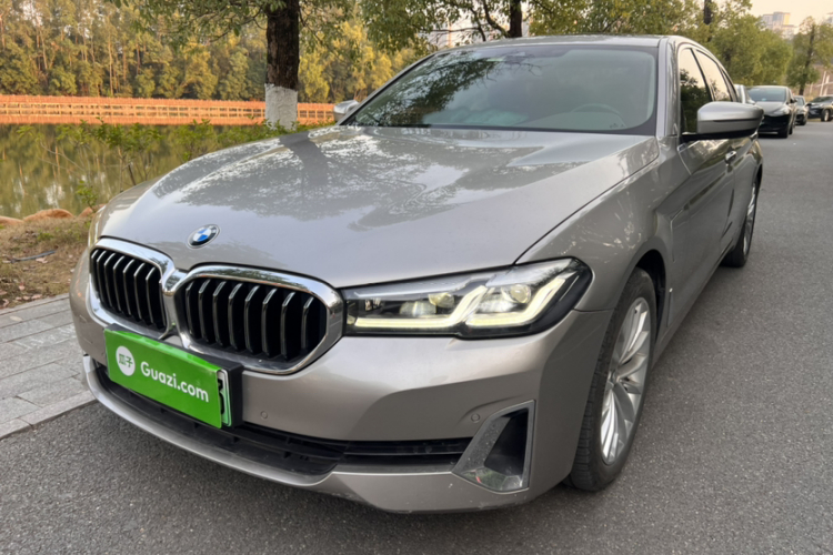 BMW 5 Series New Energy 2020 car image #2