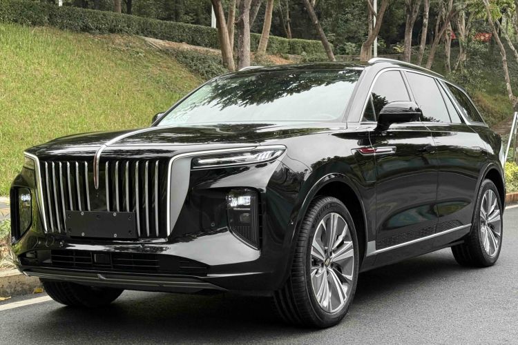 HongQi E-HS9 2021 immagine di auto #2