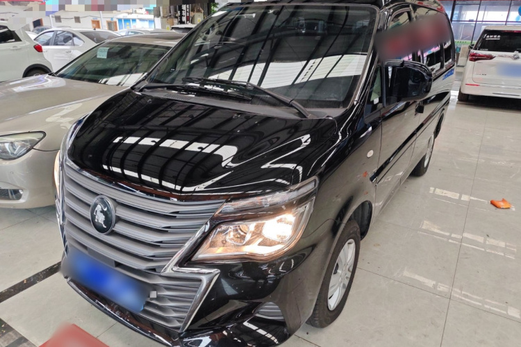 Forthing Lingzhi 2024 immagine di auto #2