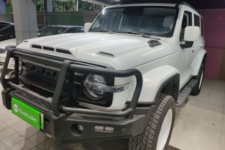 Tank 300 New Energy 2024 car image #2