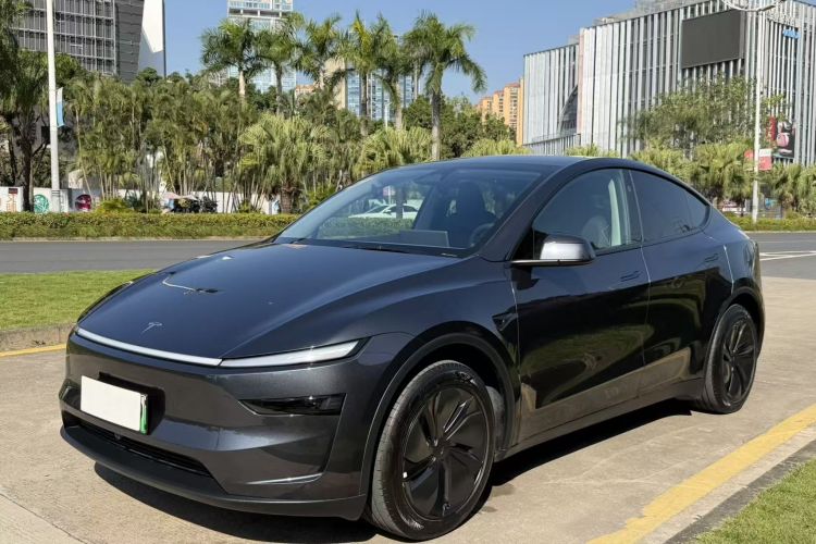 Tesla Model Y 2025 car image #2