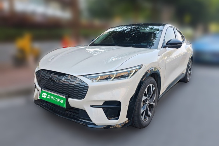 Ford Mustang Mach-E 2022 #2 Ford Mustang Mach-E 2022 car image #2