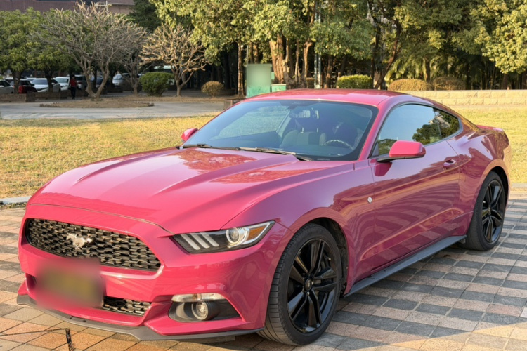 Ford 2015 car image #2