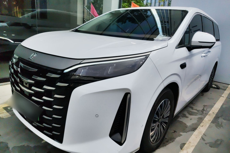 BYD Xia 2024 car image #2