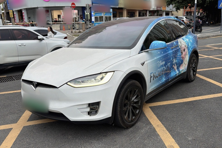 Tesla Model X 2019 immagine di auto #2