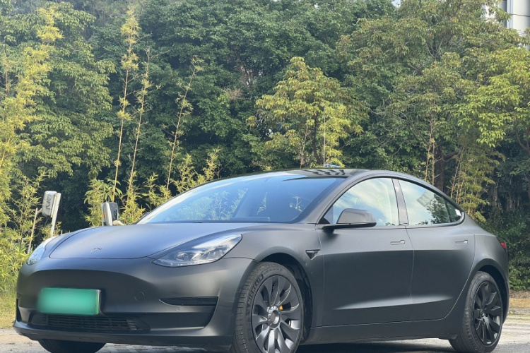 Tesla Model 3 2021 car image #2