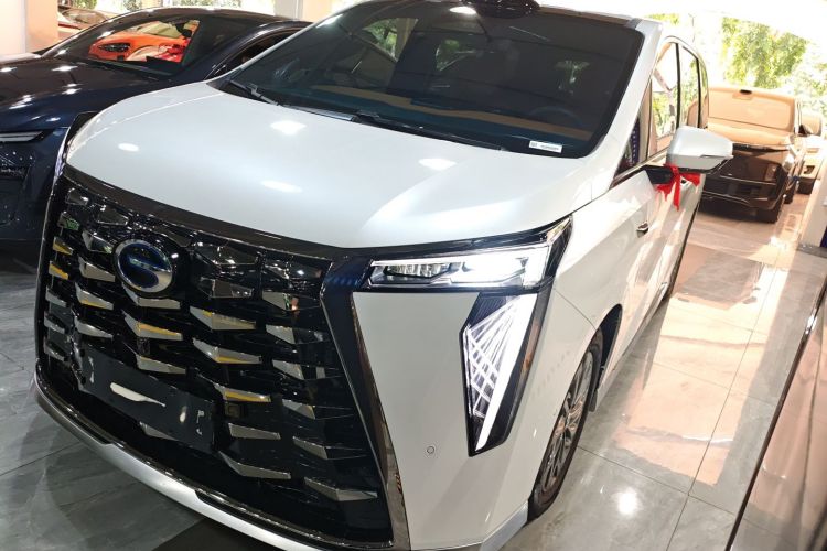 GAC Trumpchi Xiangwang M8 2025 car image #2