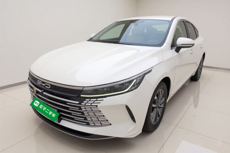 BYD Destroyer 05 2024 car image #2