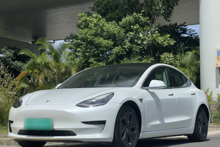 Tesla Model 3 2020 car image #2