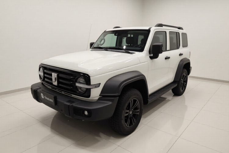 Tank 300 2021 #2 Tank 300 2021 car image #2