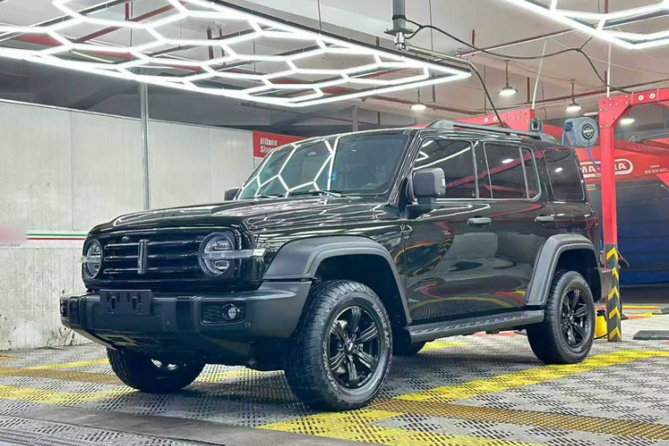 Tank 300 2021 #2 Tank 300 2021 car image #2