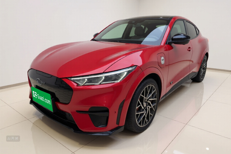 Ford Mustang Mach-E 2024 car image #2