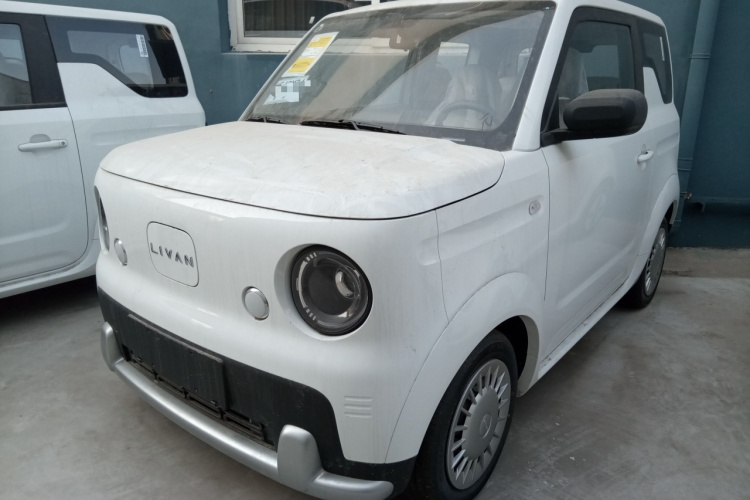 Livan 2025 immagine di auto #2