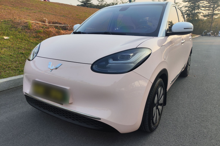 五菱汽车 五菱缤果 2024 汽车图片 #2