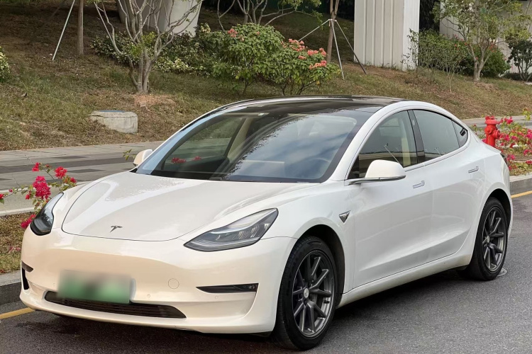 Tesla Model 3 2020 #2 Tesla Model 3 2020 car image #2