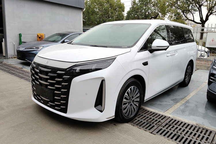 BYD Xia 2024 car image #2