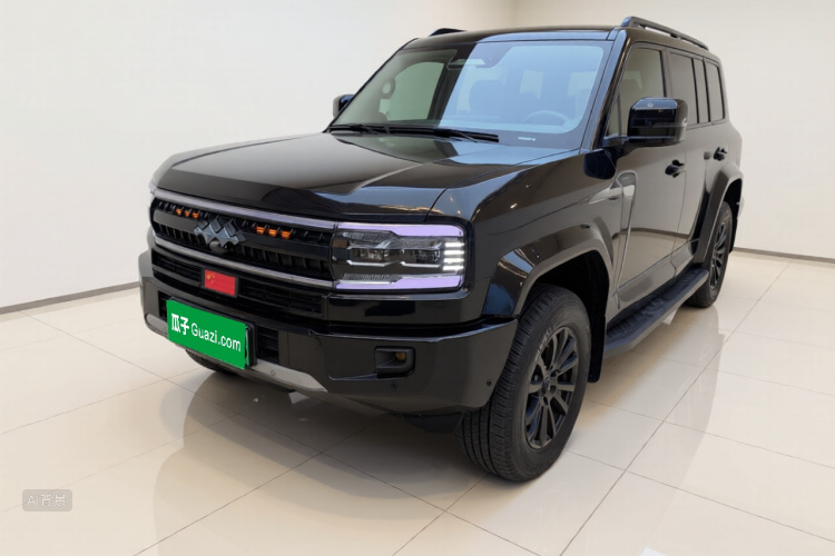 FangChengBao Leopard 5 2025 car image #2
