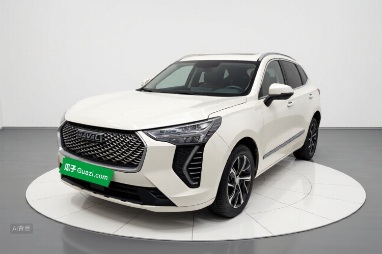 Haval Jolion 2021 car image #2