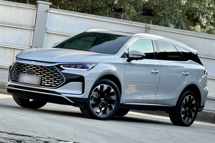 BYD Tang New Energy 2024 car image #2