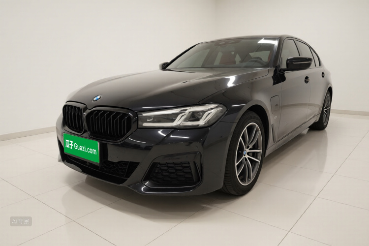 BMW 5 Series New Energy 2021 car image #2