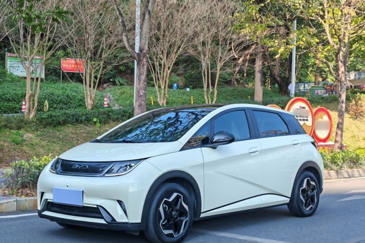 BYD Dolphin 2022 car image #2