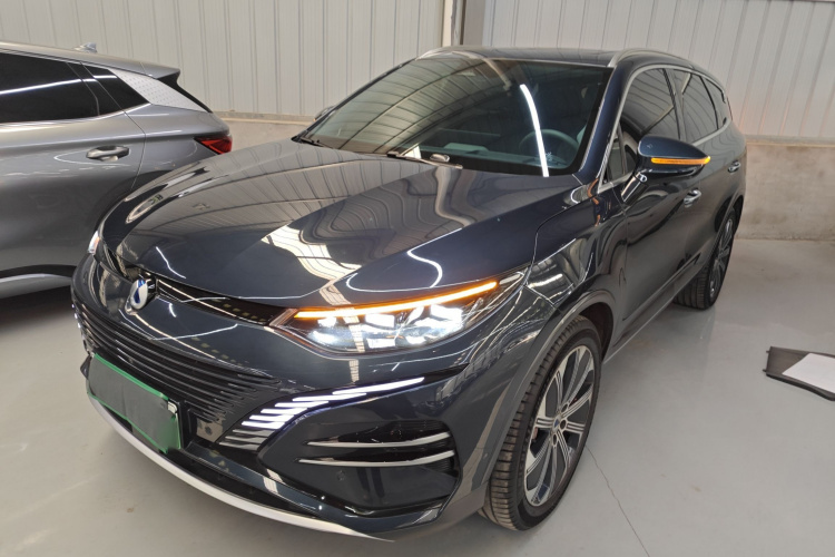 Denza N8 2023 imagen de coche #2