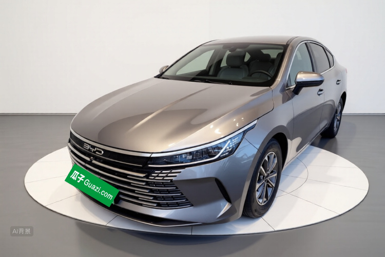 BYD Destroyer 05 2024 car image #2